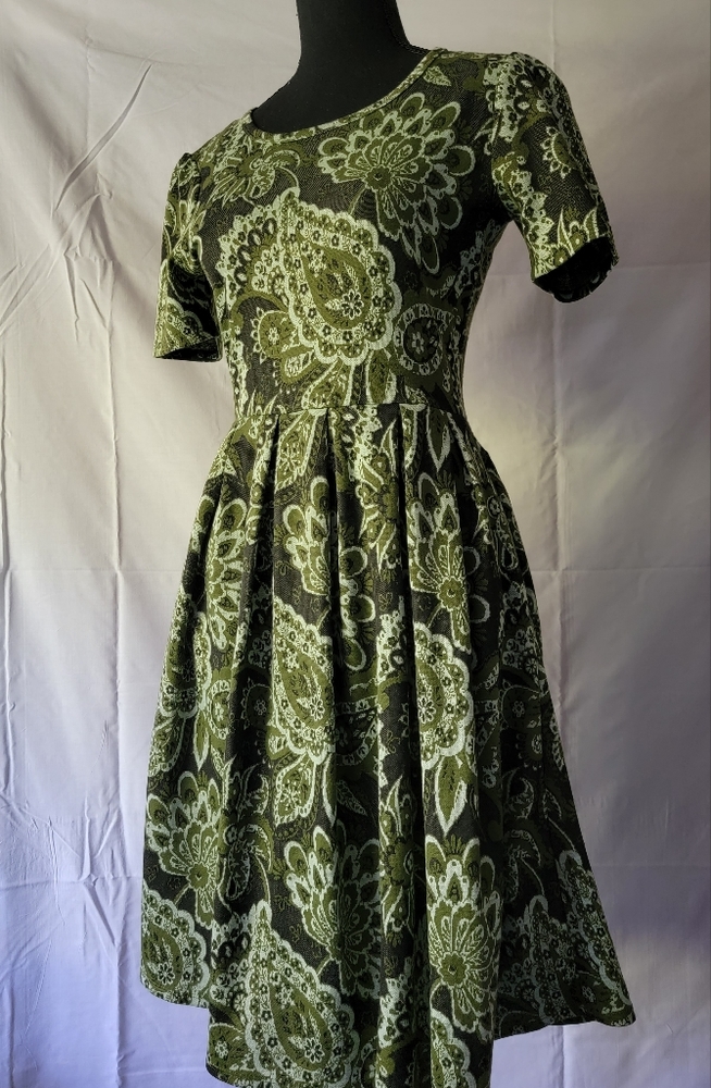 LuLaRoe Amelia fit and flare dress